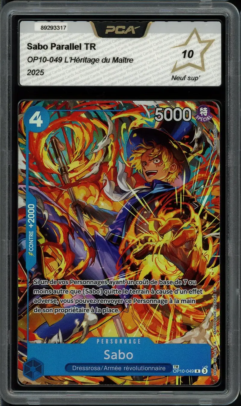 PCA 10 Sabo