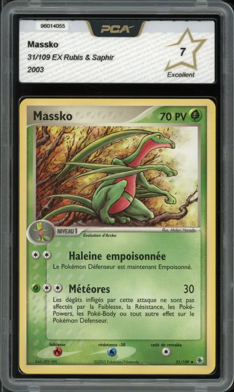 PCA 7 Massko
