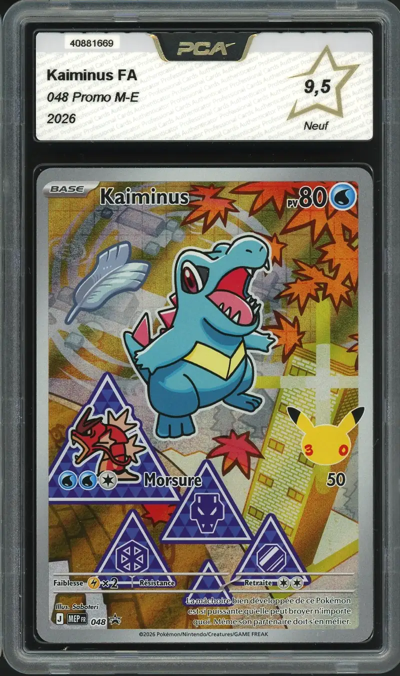 PCA 9.5 Kaiminus