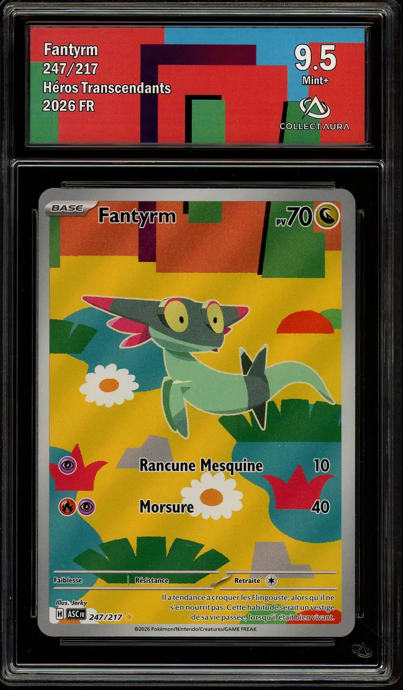 CA 9.5 Fantyrm