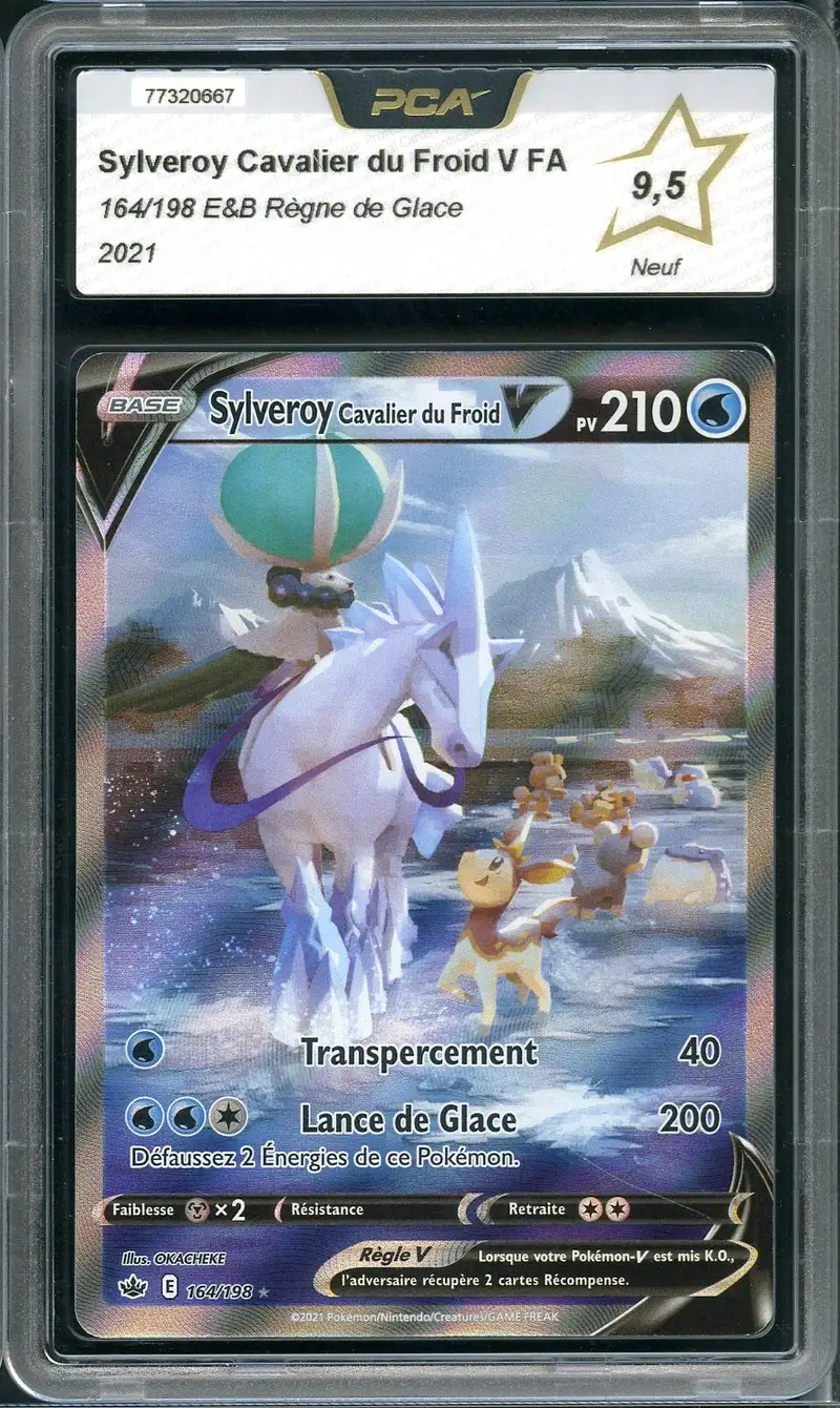 PCA 9.5 Sylveroy Cavalier du Froid V