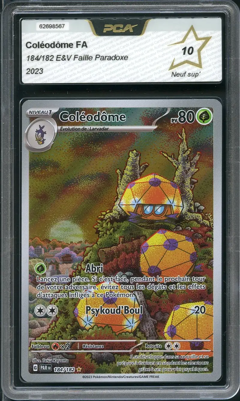 PCA 10 Coléodôme