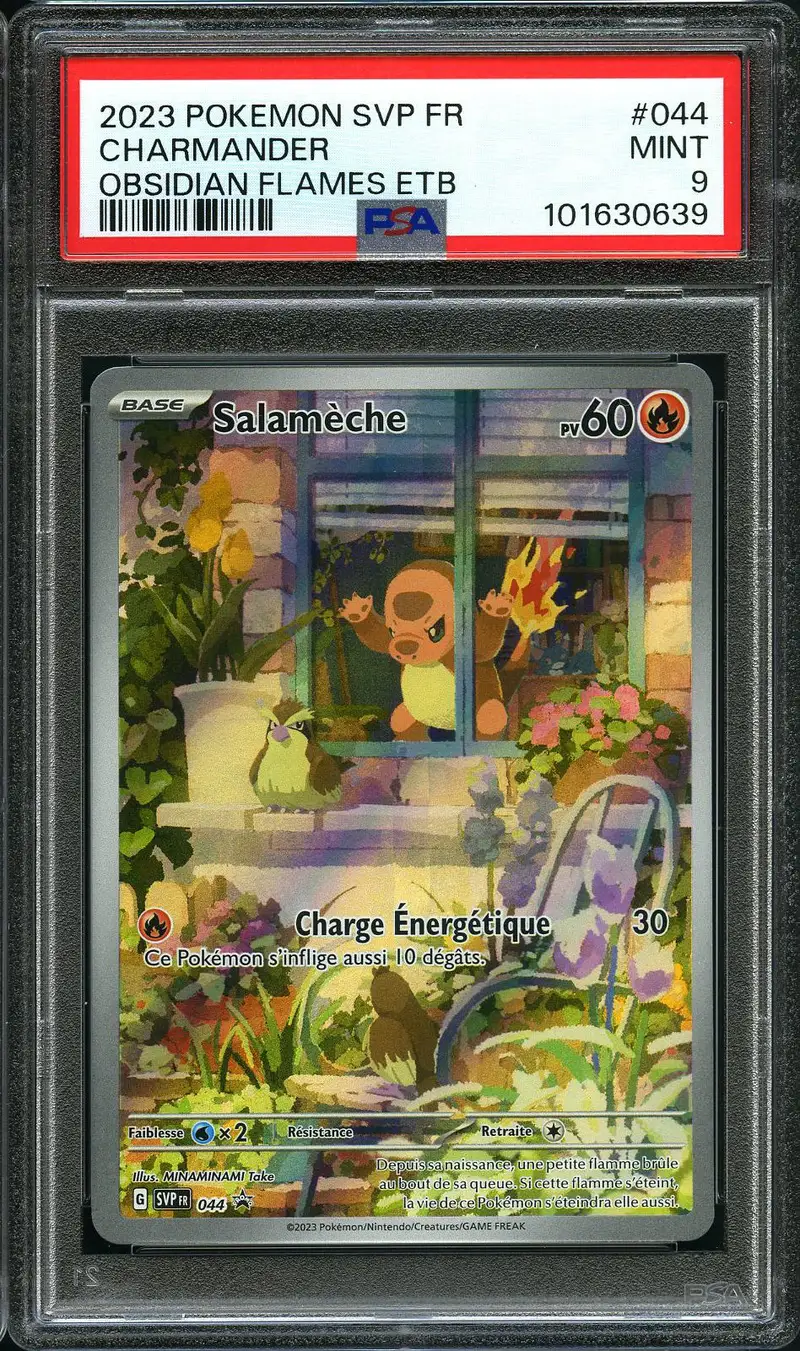 PSA 9 Salamèche