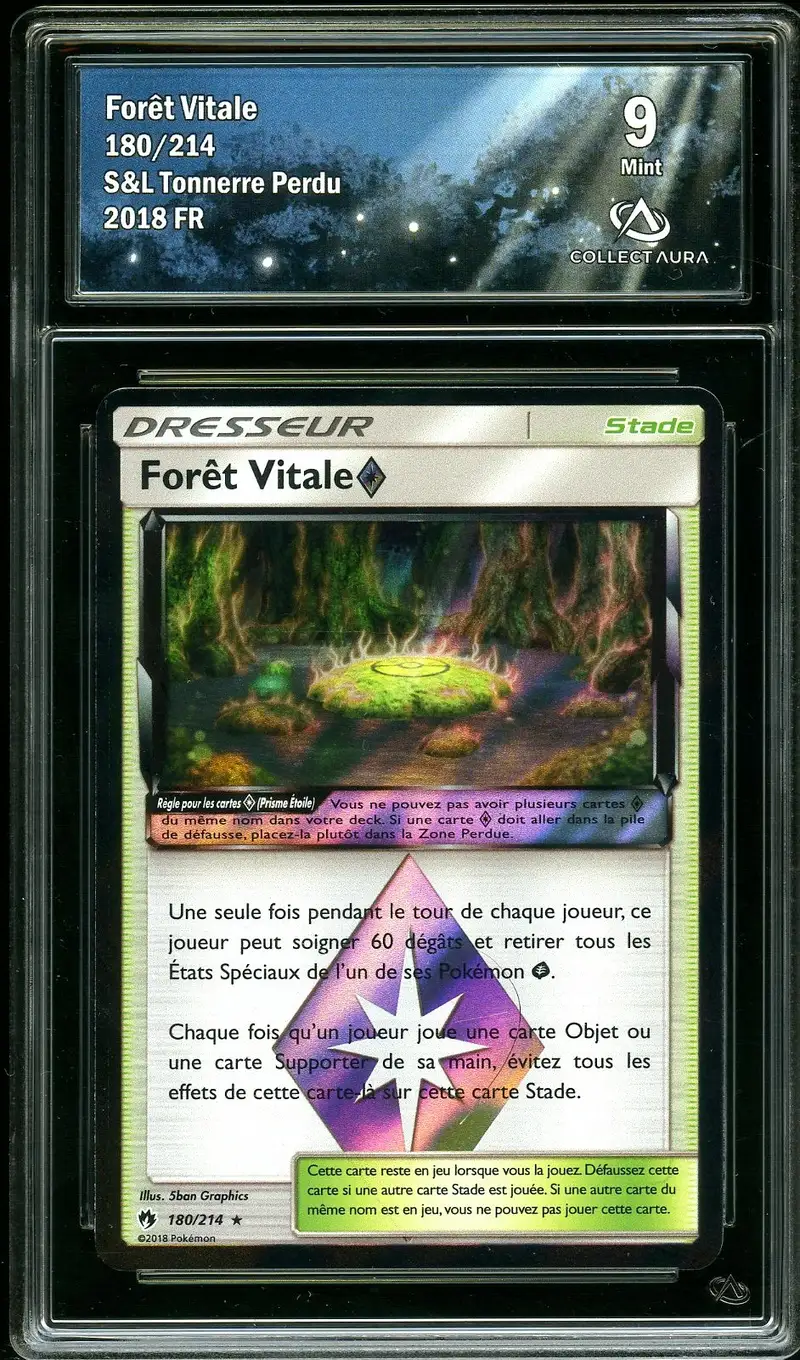 CA 9 Forêt Vitale Prisme