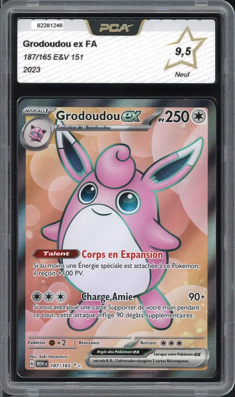 PCA 9.5 Grodoudou Ex