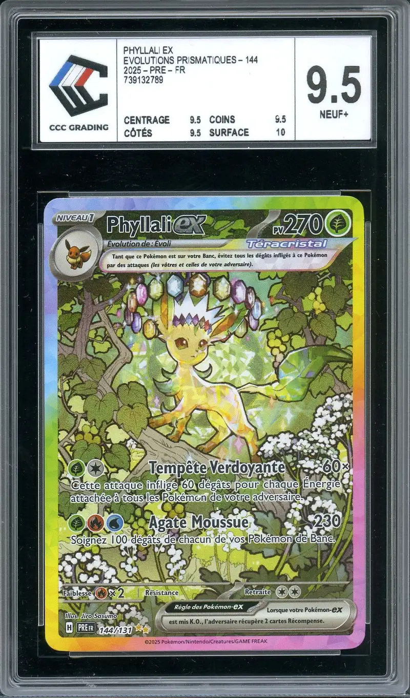 CCC 9.5 Phyllali Ex