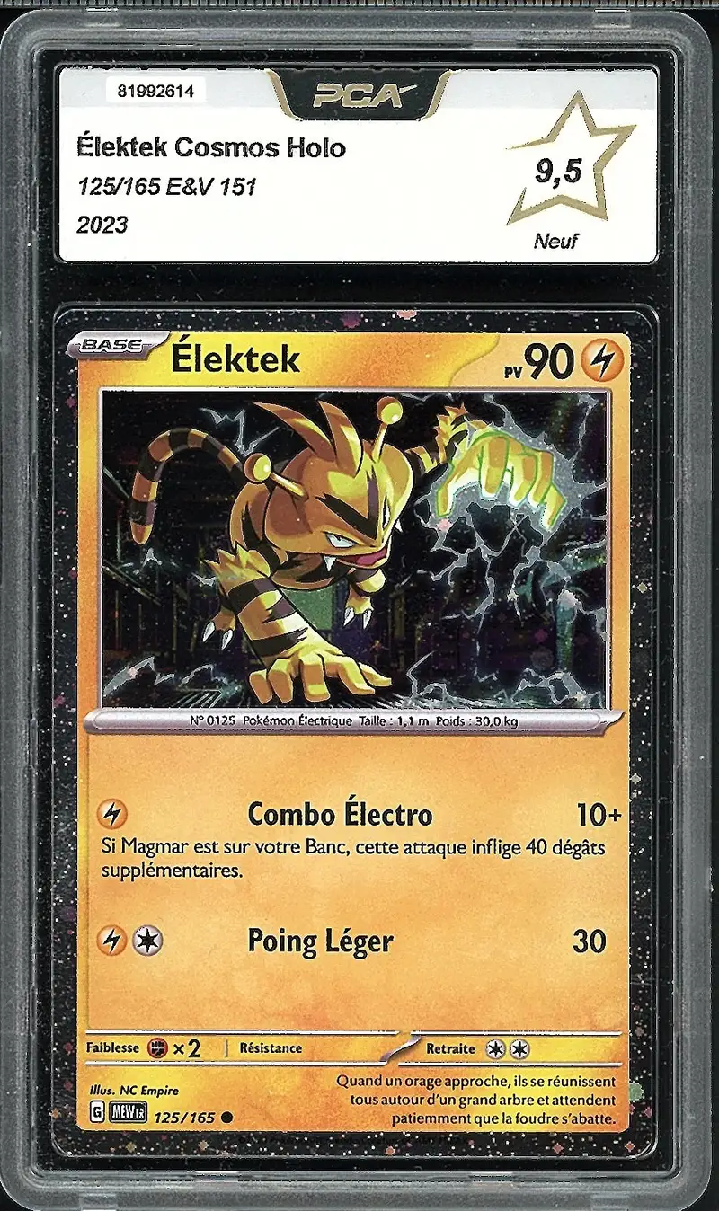 PCA 9.5 Elektek Holo