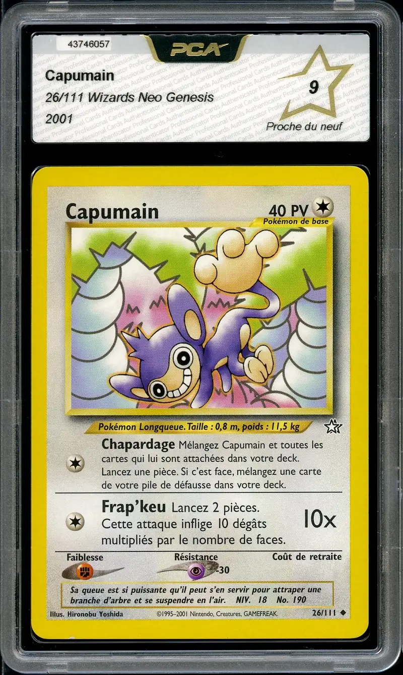 PCA 9 Capumain