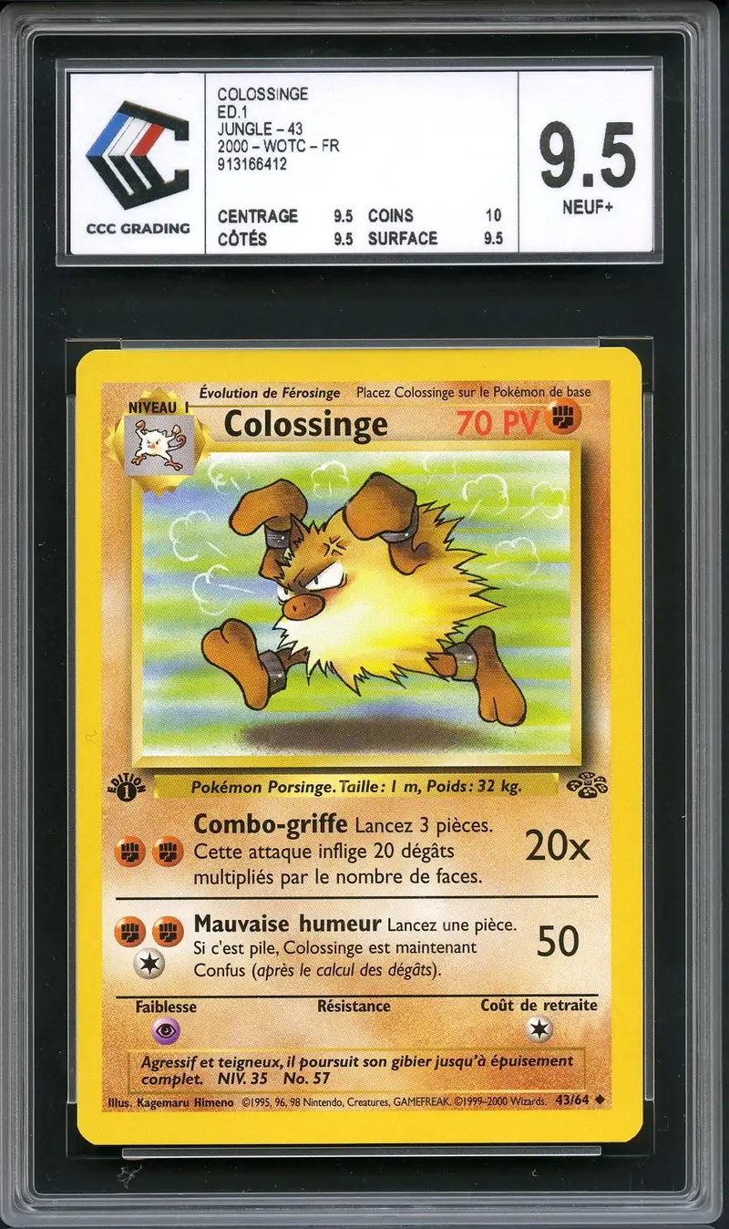 CCC 9.5 Colossinge