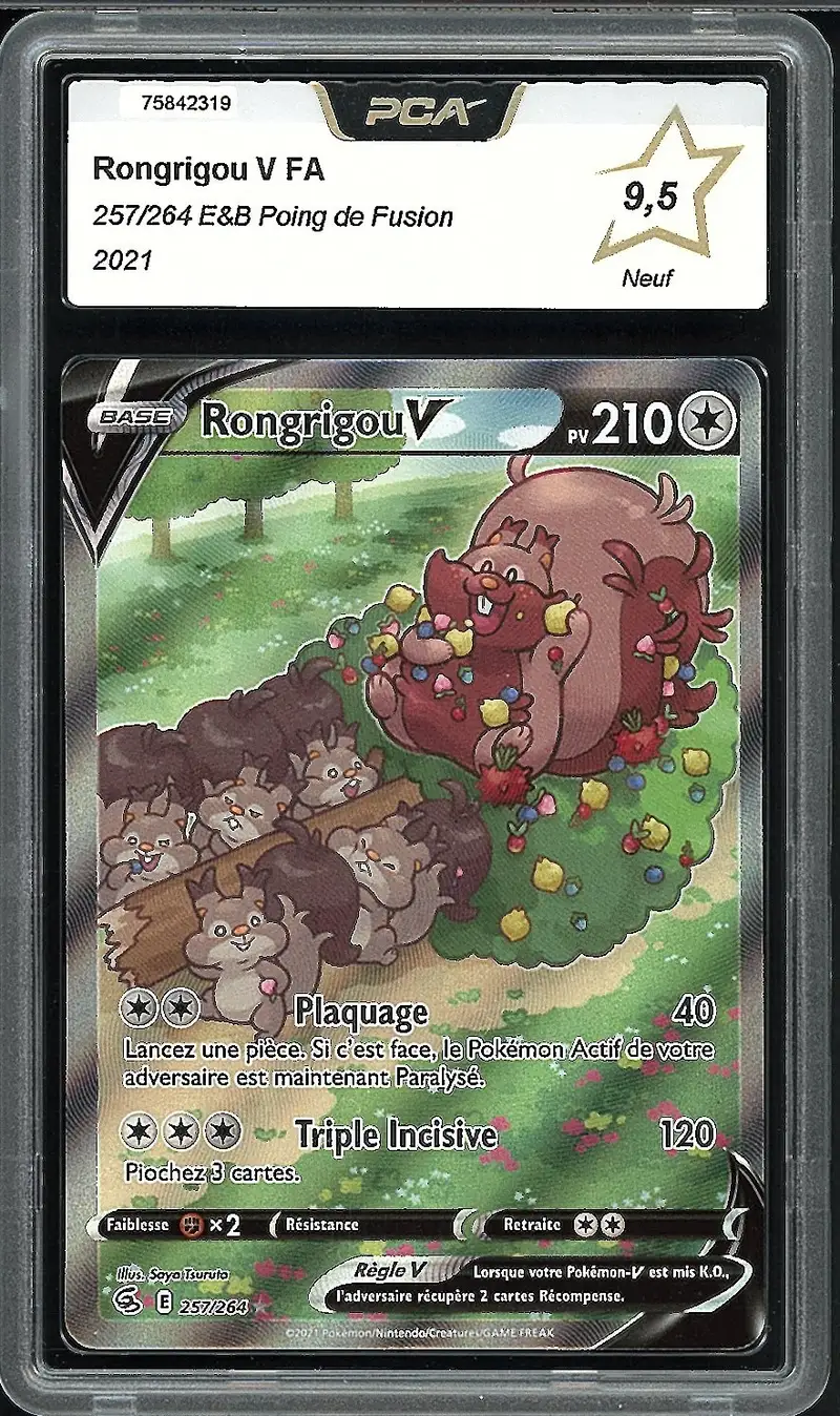 PCA 9.5 Rongrigou V