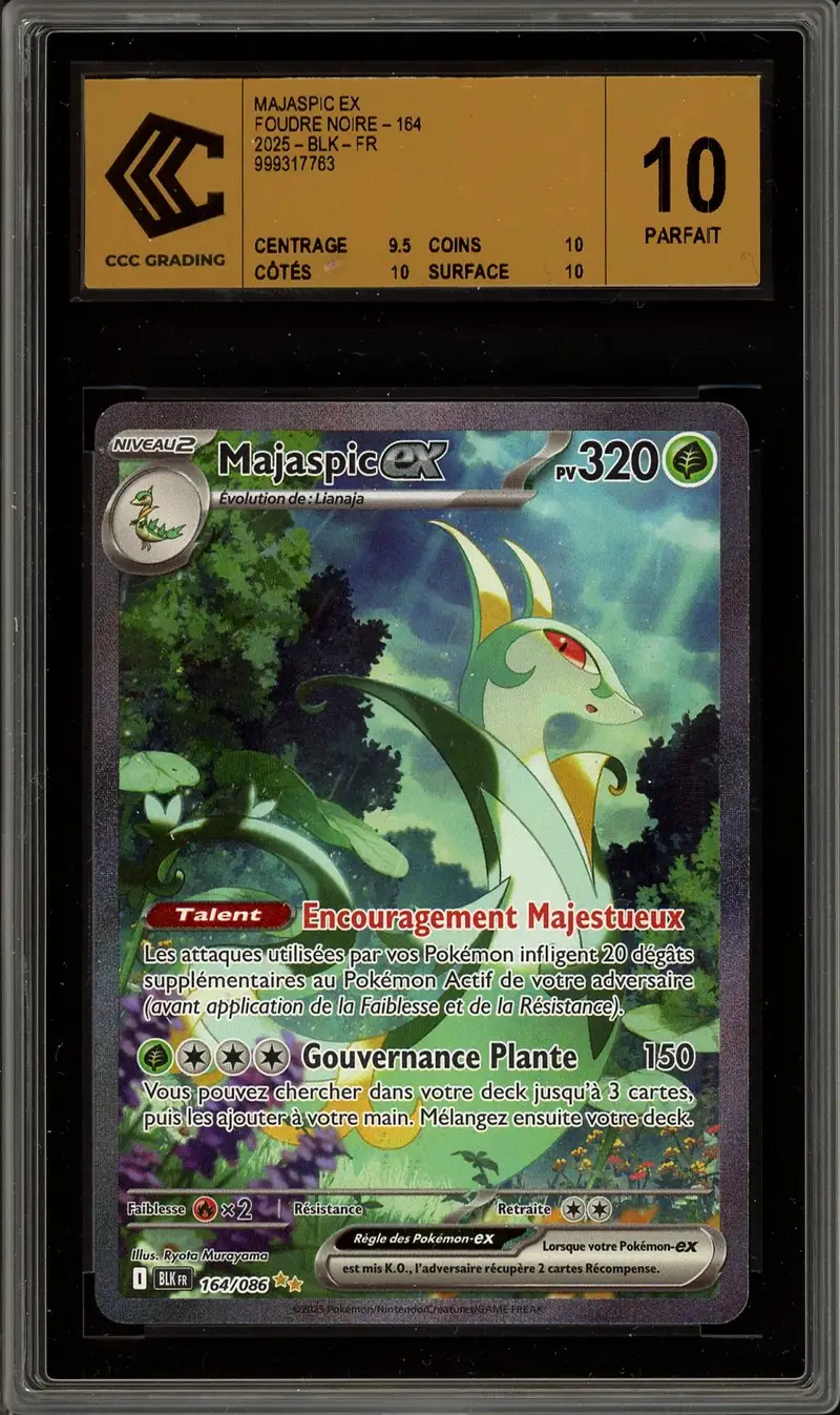CCC 10 Majaspic Ex