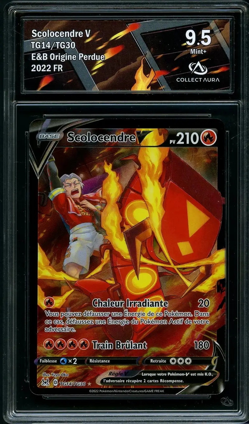 CA 9.5 Scolocendre V