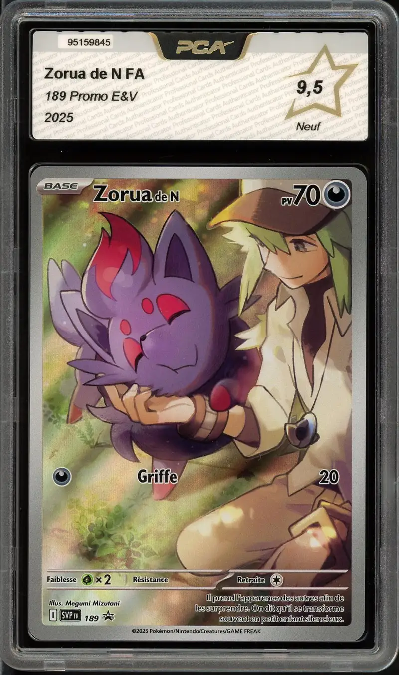 PCA 9.5 Zorua de N