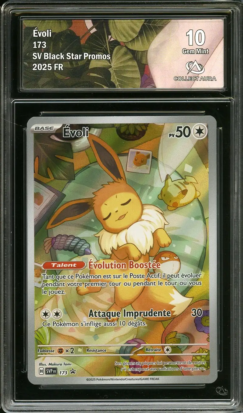 CA 10 Evoli