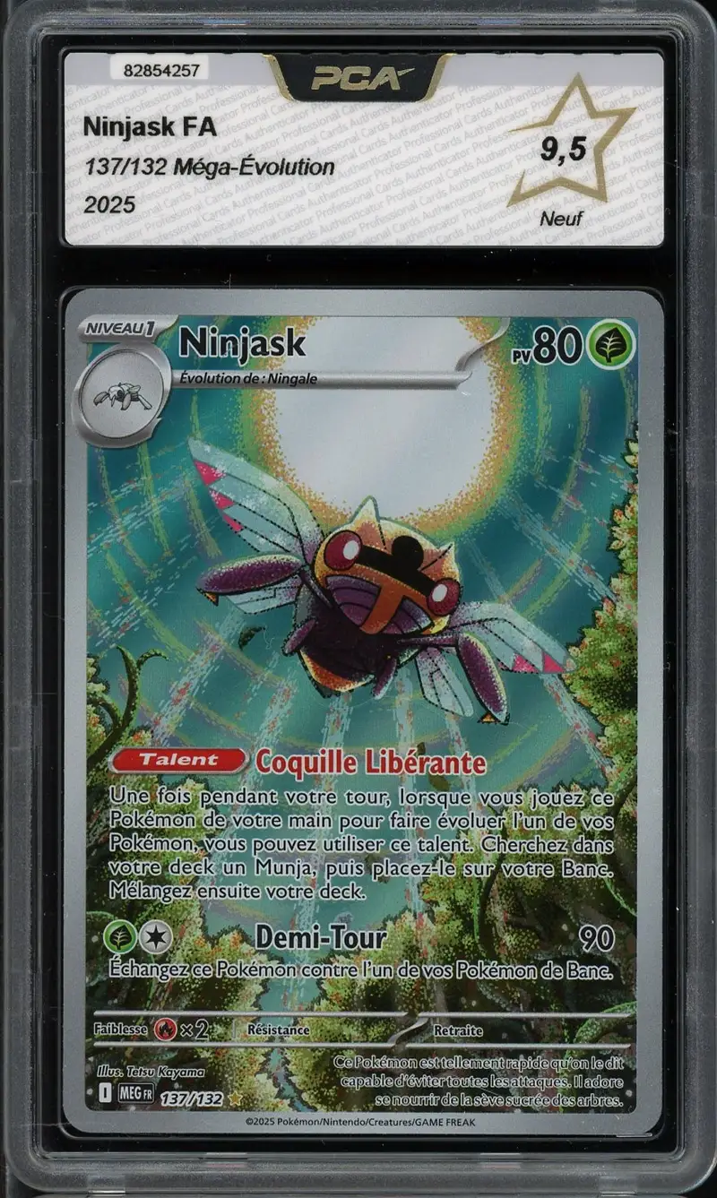 PCA 9.5 Ninjask