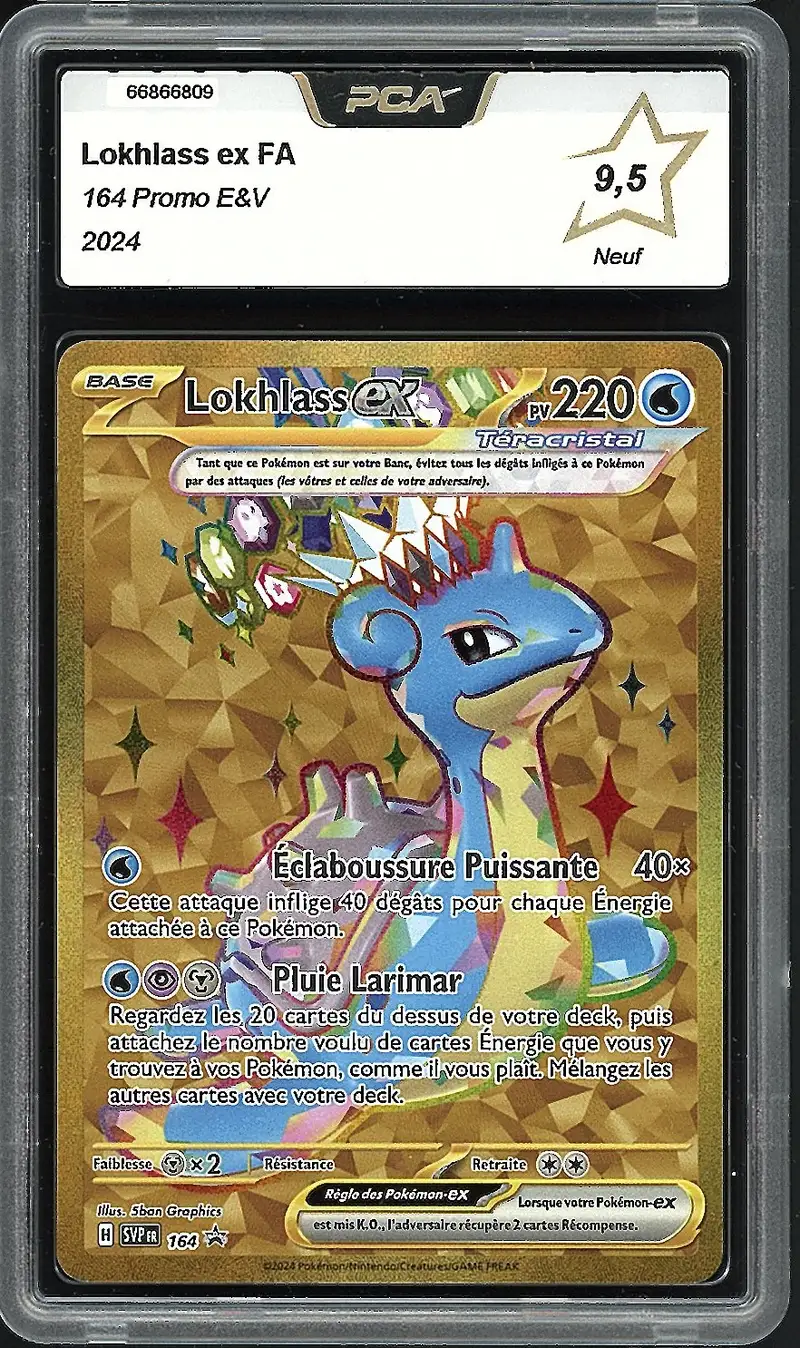 PCA 9.5 Lokhlass Ex Gold