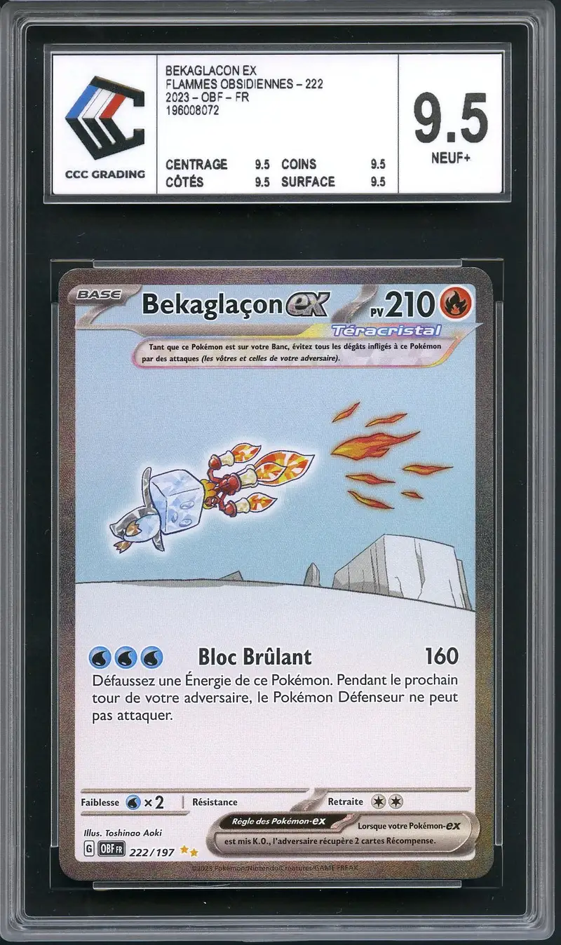 CCC 9.5 Bekaglaçon Ex