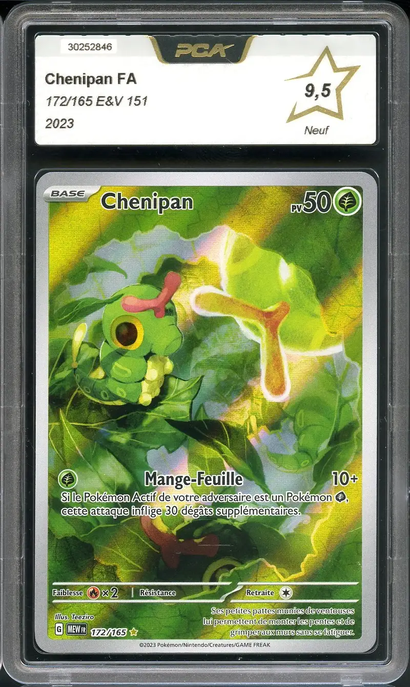 PCA 9.5 Chenipan