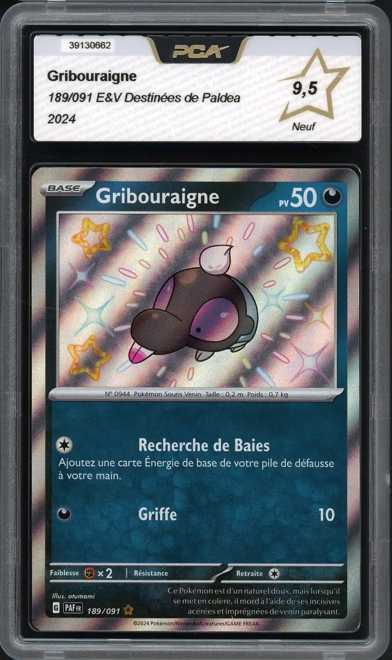 PCA 9.5 Gribouraigne Shiny