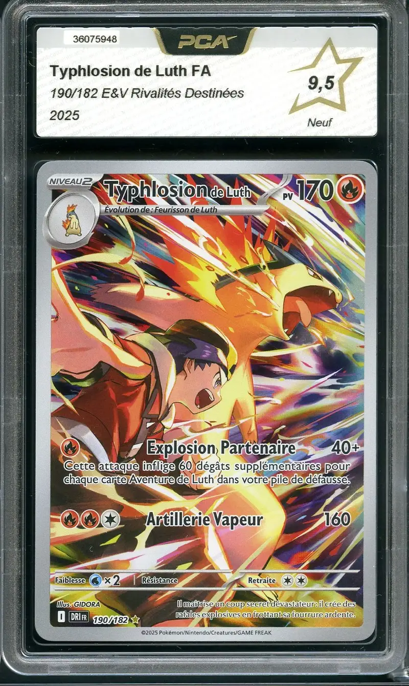PCA 9.5 Typhlosion de Luth