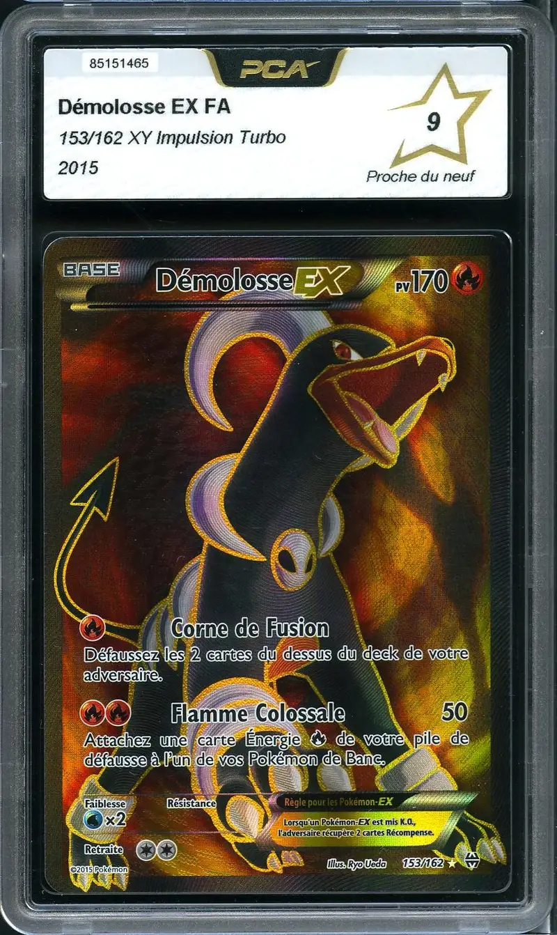 PCA 9 Démolosse Ex