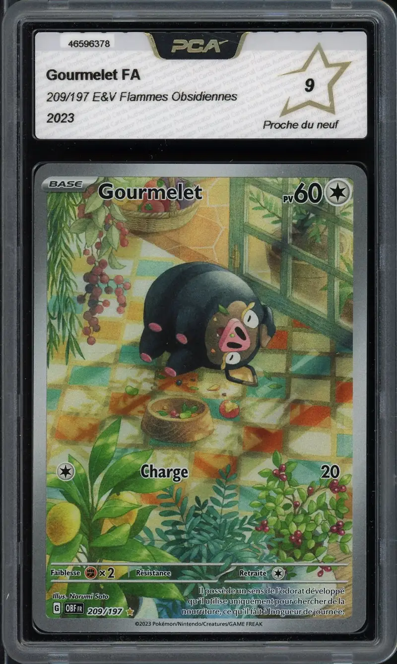 PCA 9 Gourmelet