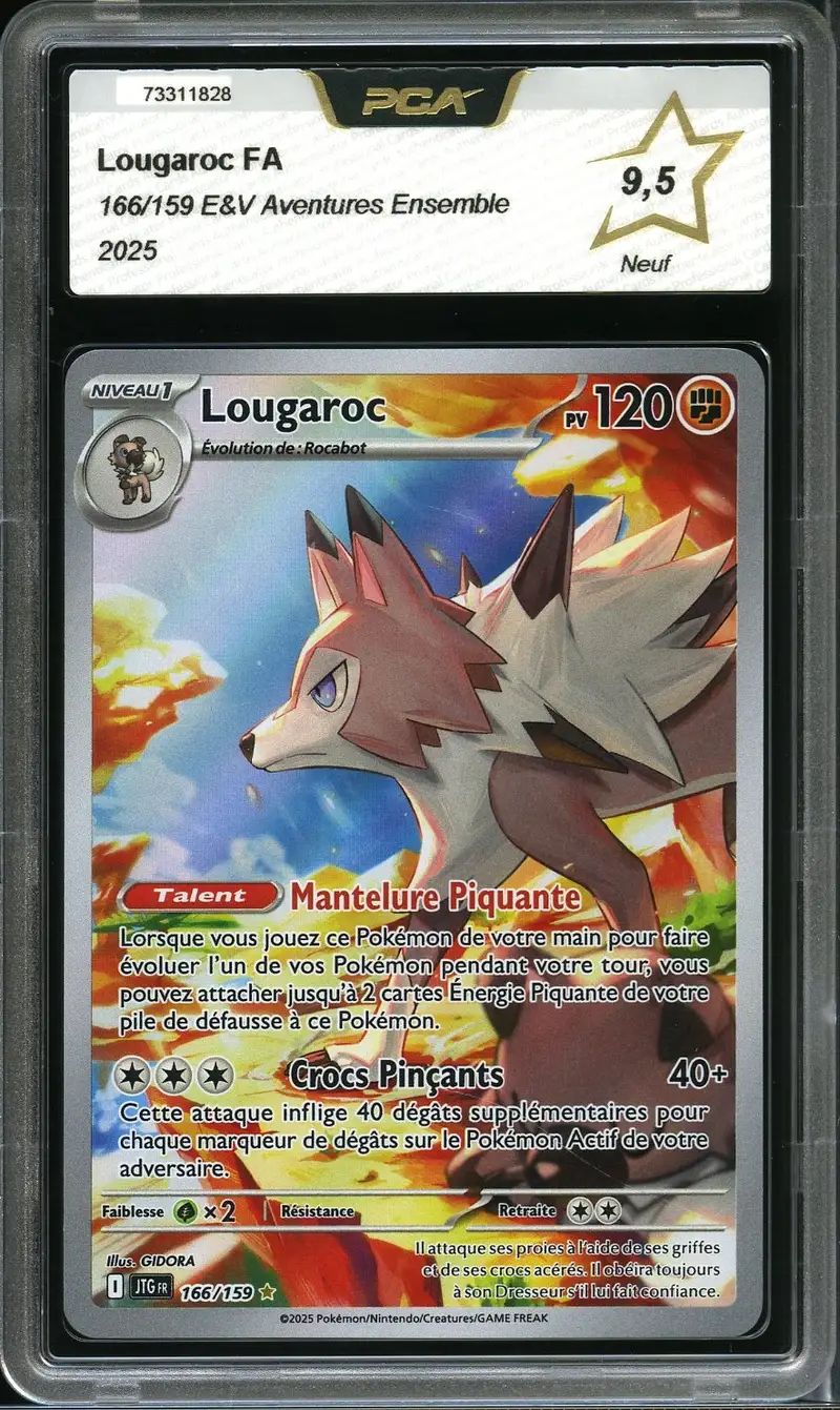 PCA 9.5 Lougaroc