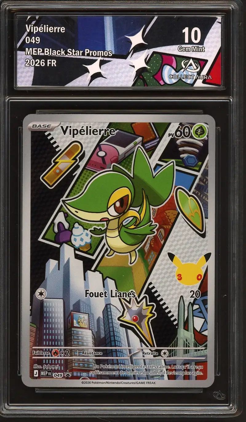 CA 10 Vipélierre