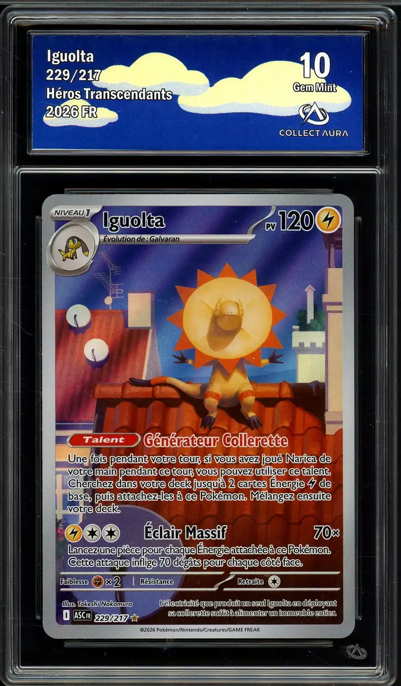 CA 10 Iguolta