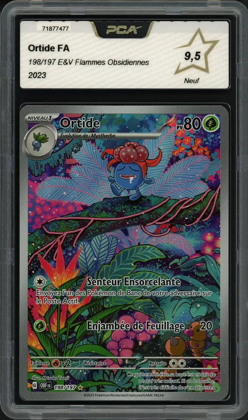 PCA 9.5 Ortide
