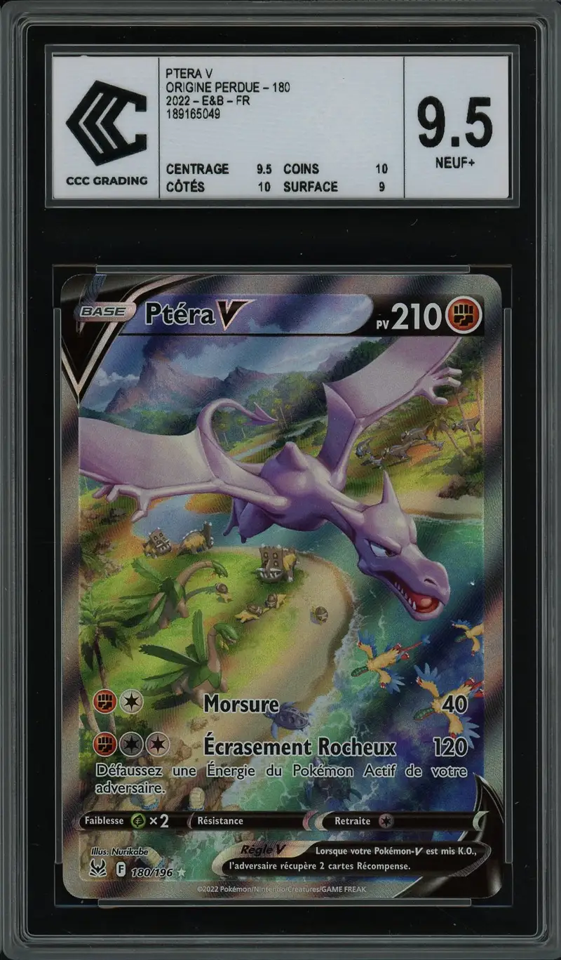 CCC 9.5 Ptéra V