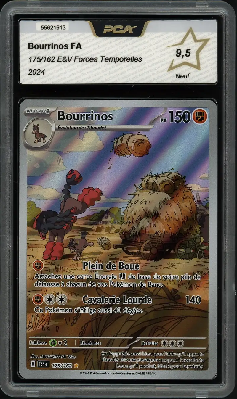 PCA 9.5 Bourrinos
