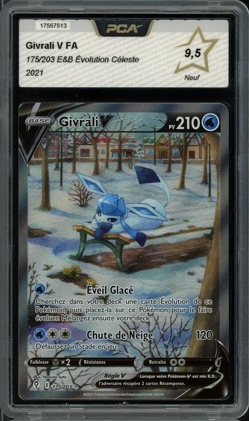 PCA 9.5 Givrali V