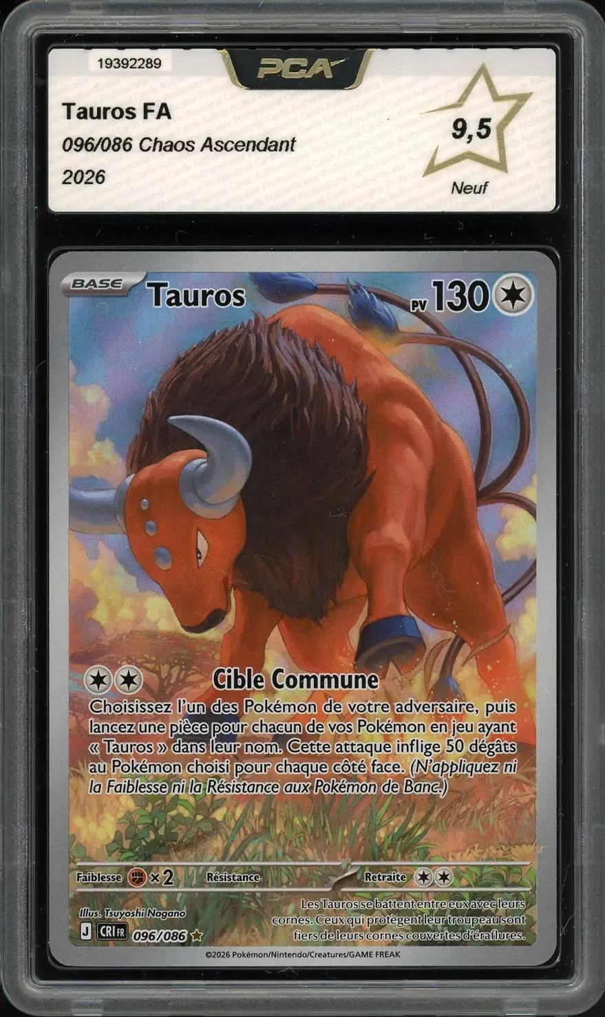 PCA 9.5 Tauros