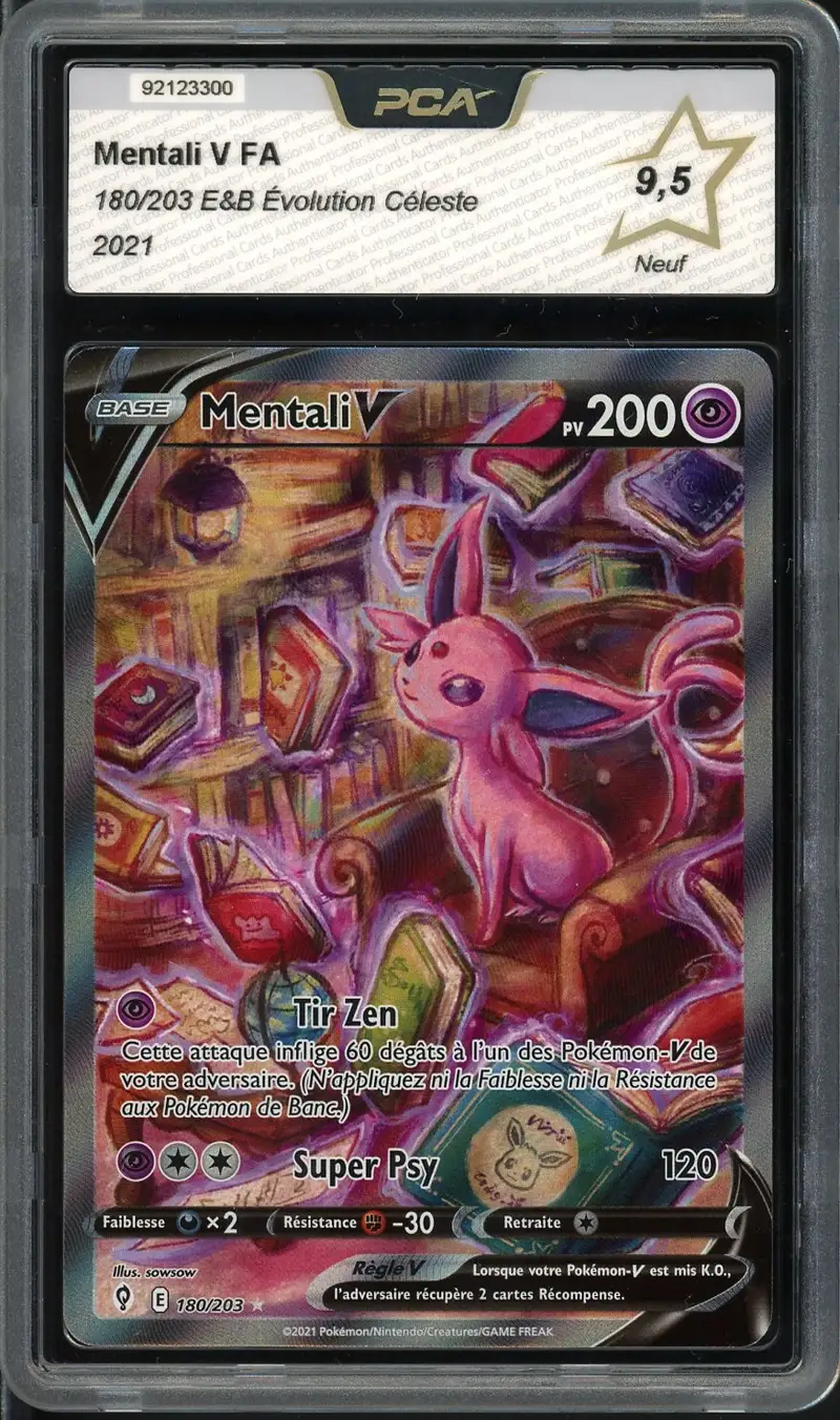 PCA 9.5 Mentali V