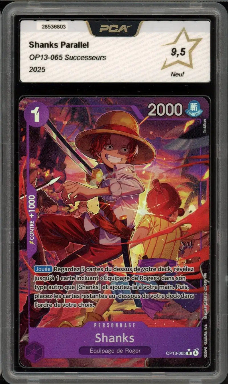 PCA 9.5 Shanks