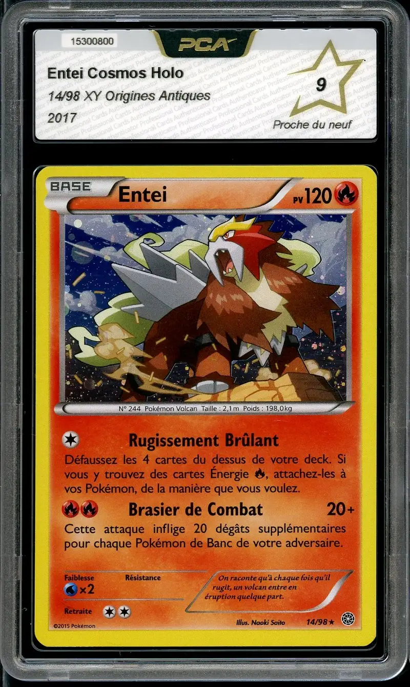 PCA 9 Entei Holo