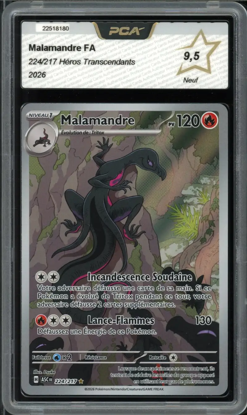 PCA 9.5 Malamandre