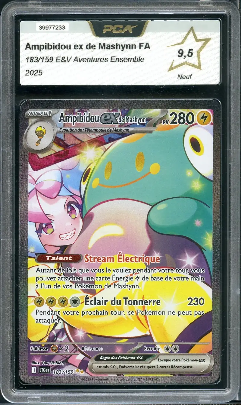 PCA 9.5 Ampibidou Ex de Mashynn