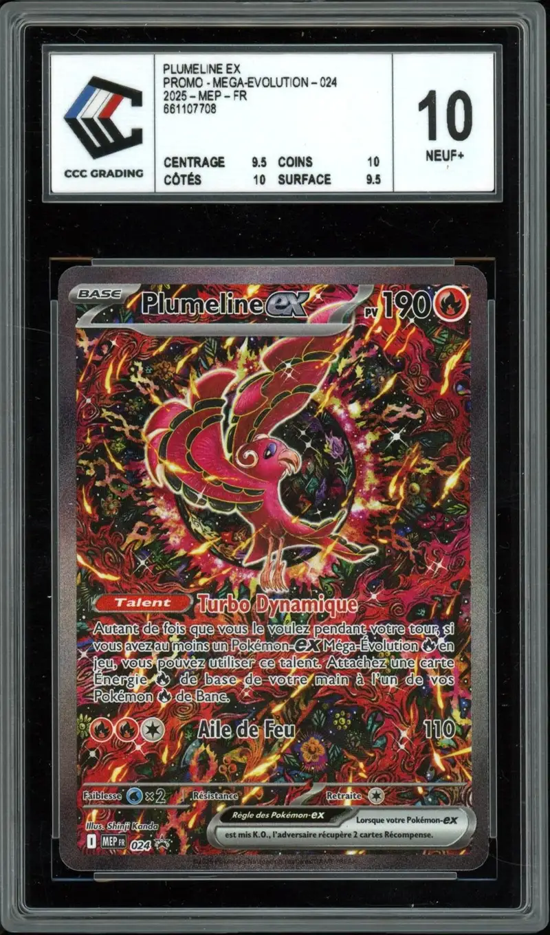 CCC 10 Plumeline Ex