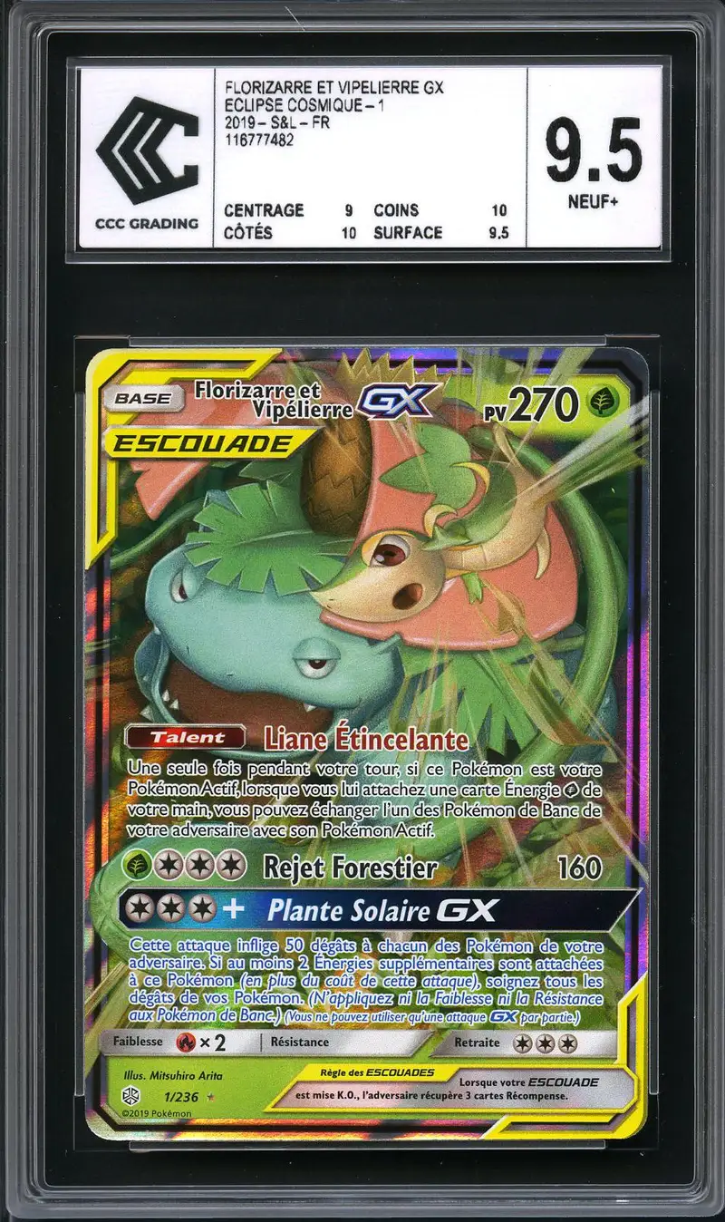 CCC 9.5 Florizarre & Vipélierre Gx
