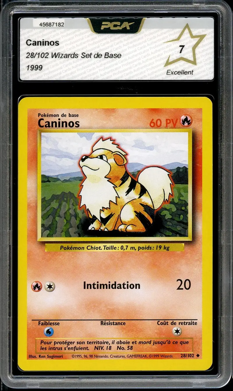 PCA 7 Caninos