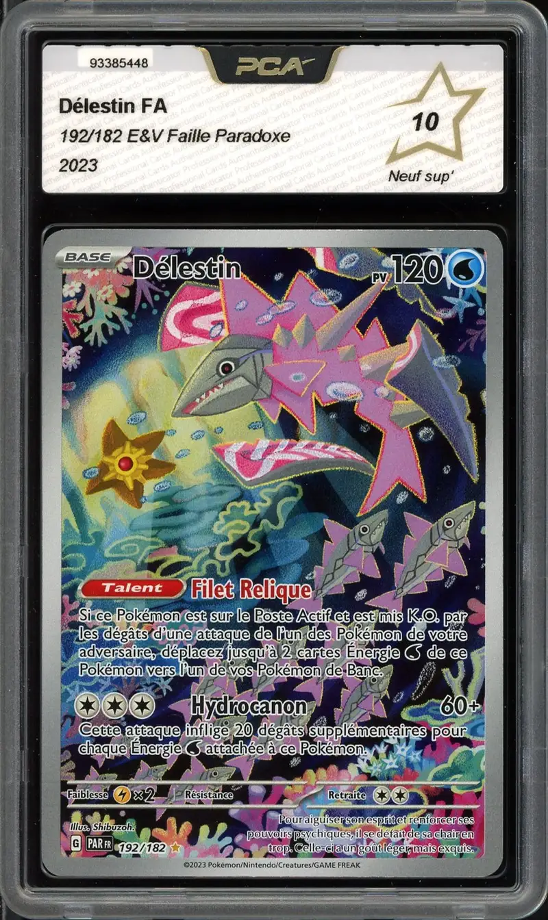 PCA 10 Délestin