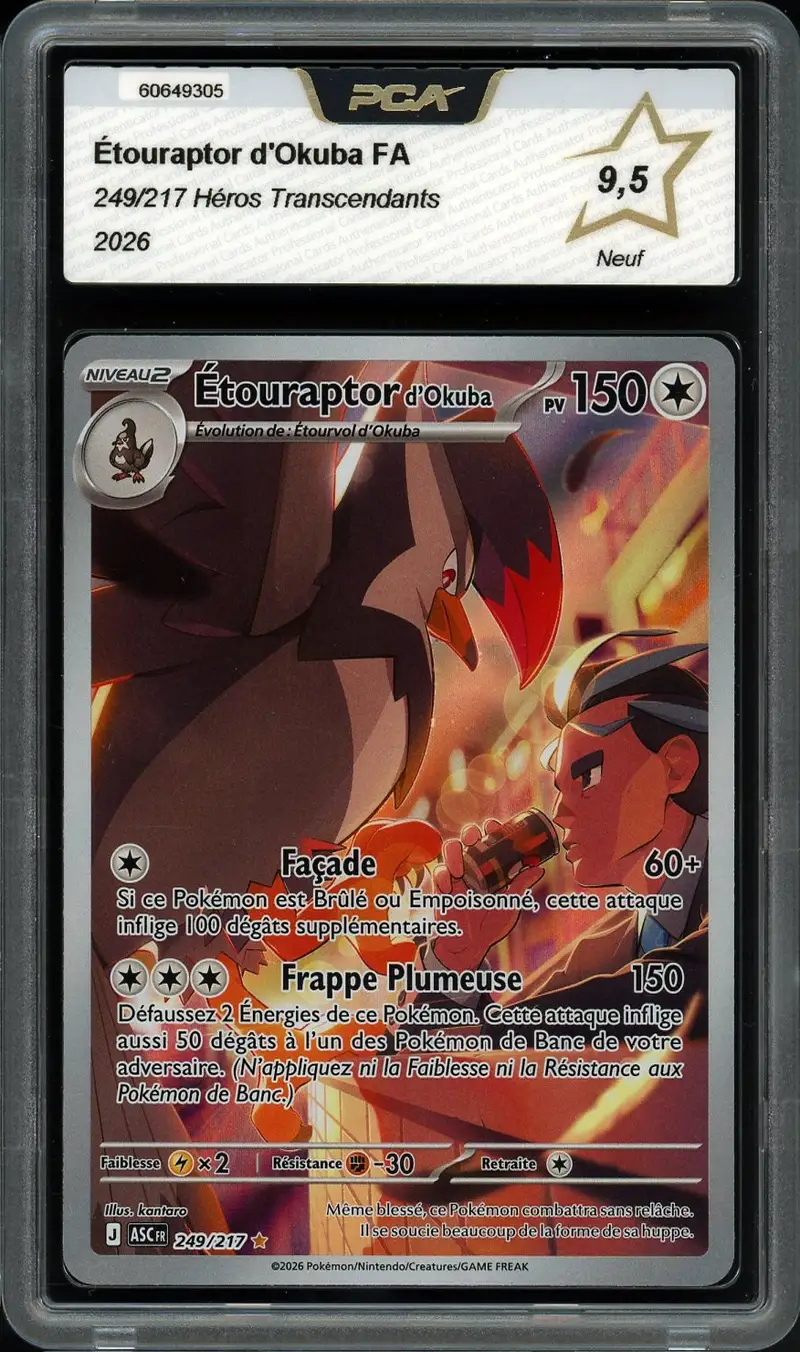 PCA 9.5 Étouraptor d'Okuba