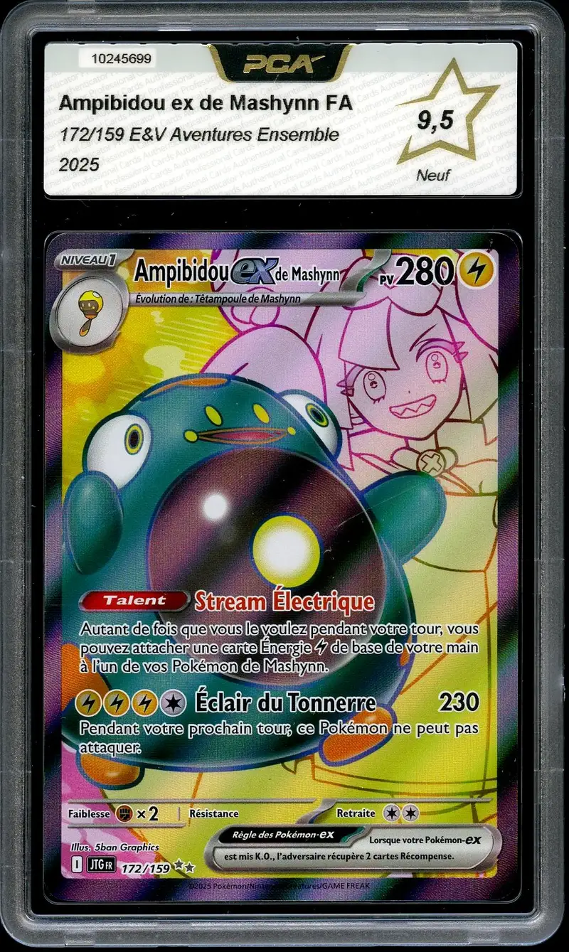 PCA 9.5 Ampibidou Ex de Mashynn