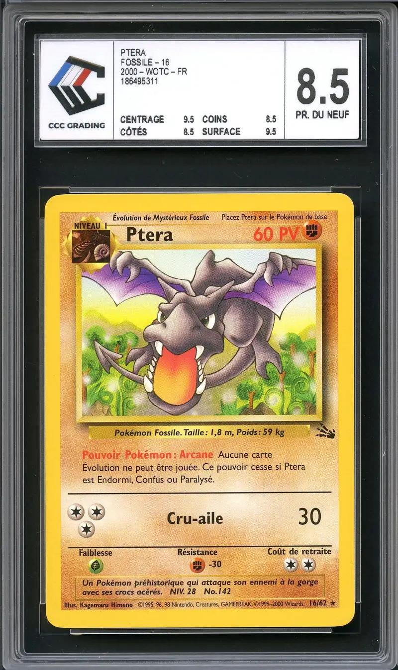 CCC 8.5 Ptéra