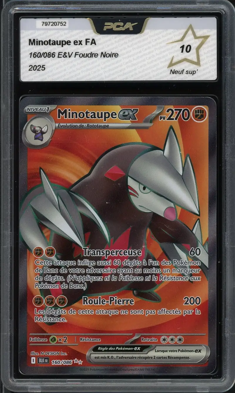 PCA 10 Minotaupe Ex