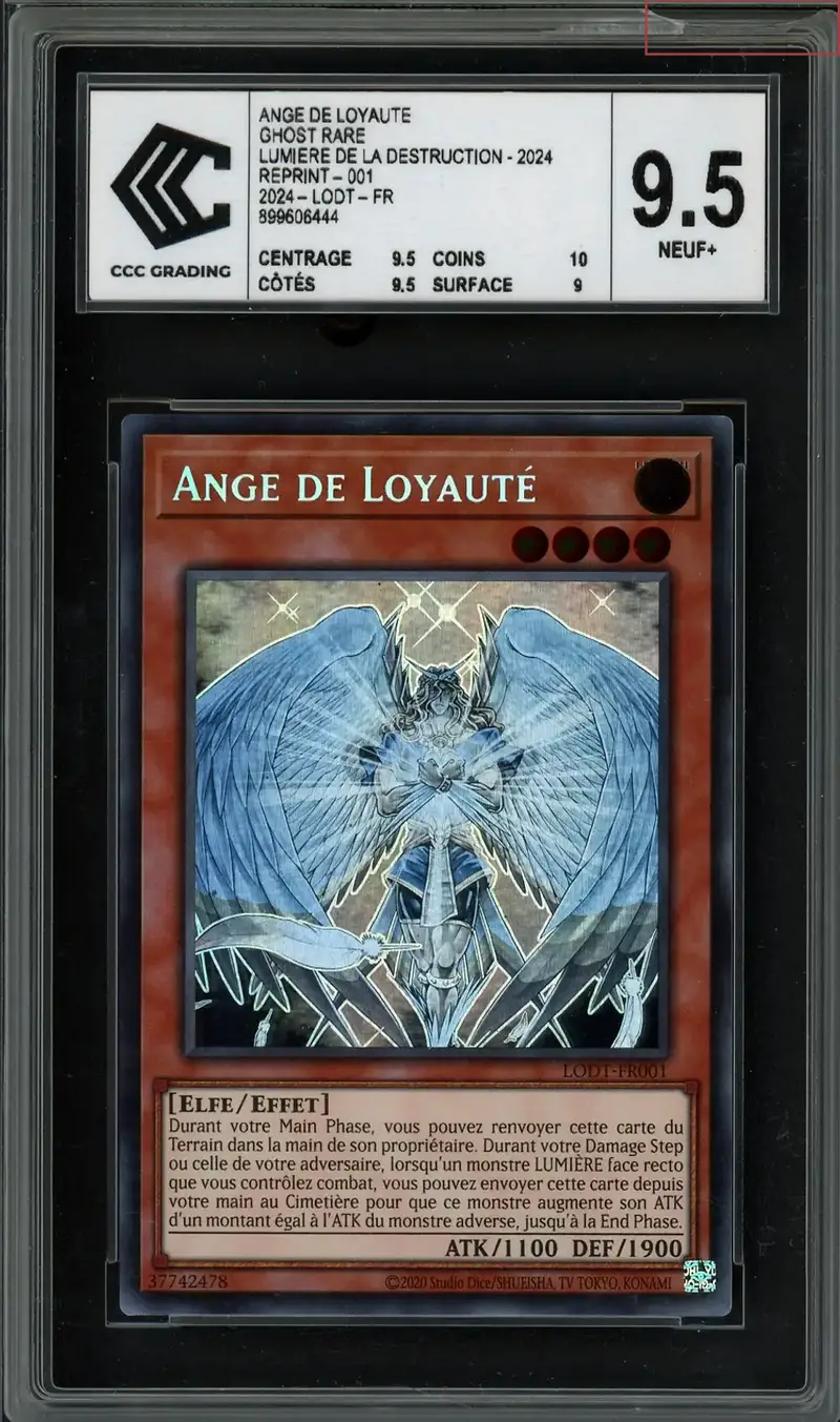 CCC 9.5 Ange de Loyauté
