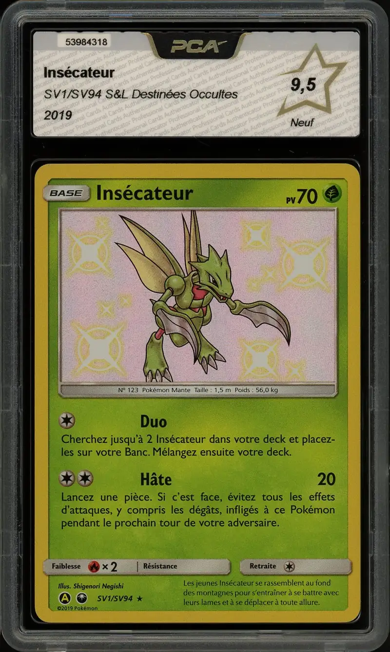PCA 9.5 Insécateur Shiny