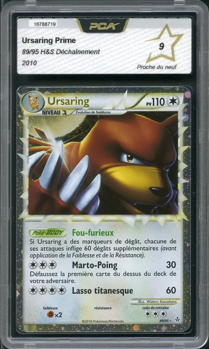 PCA 9 Ursaring Prime